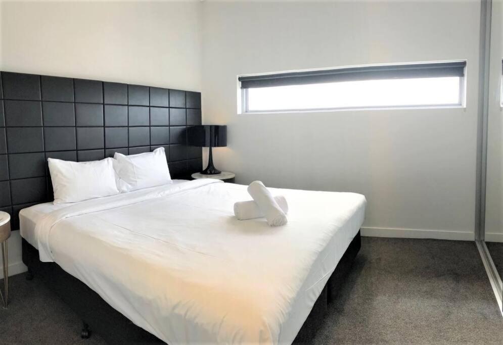 Serain Residences On 88 Archer Chatswood *